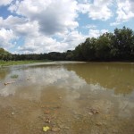 When I came back looking for rocks today (2011_09_11), this is what I found instead. So much for the yearly September drought, time to find another spot.